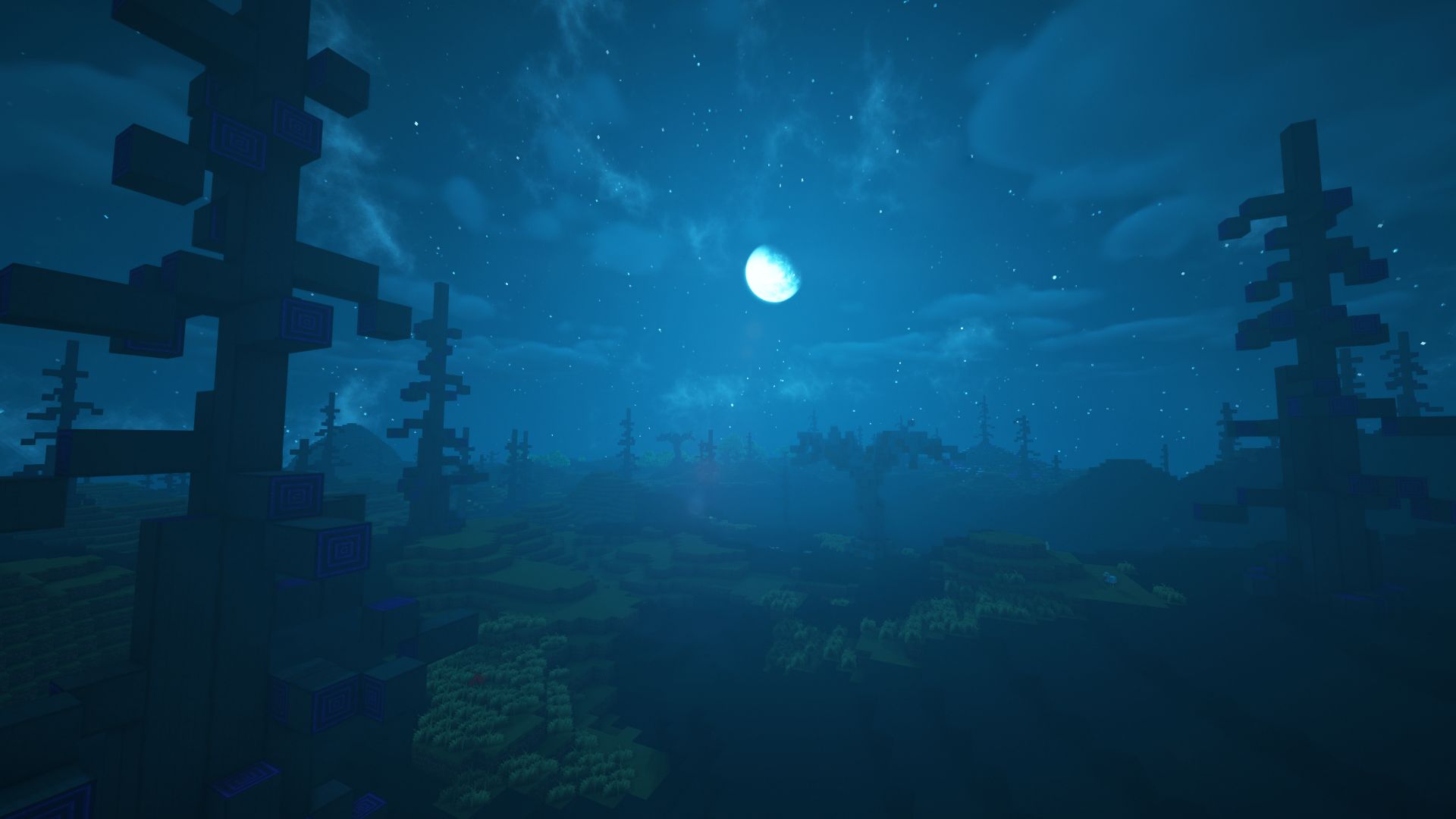 Galacora Image